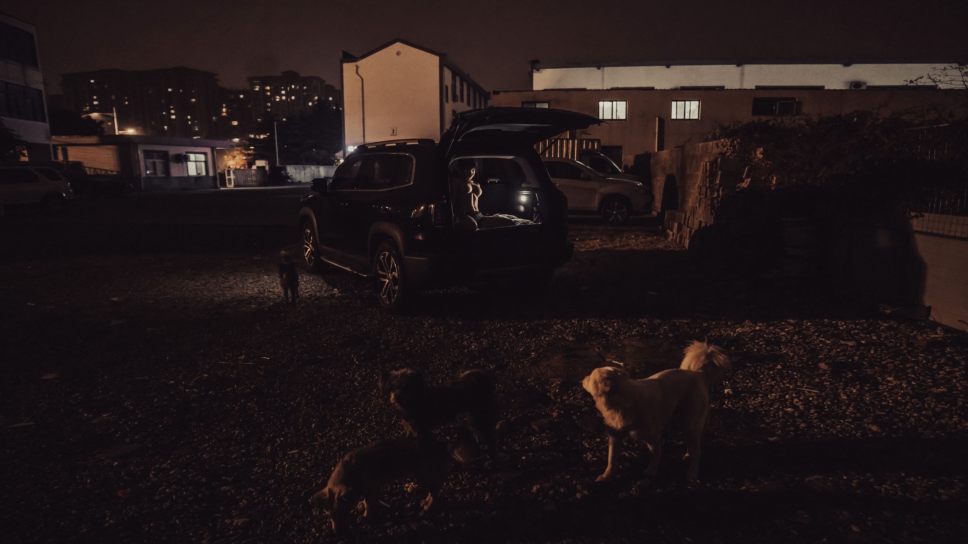 [福利COS] 美少女晕崽 - 工地日记第6张