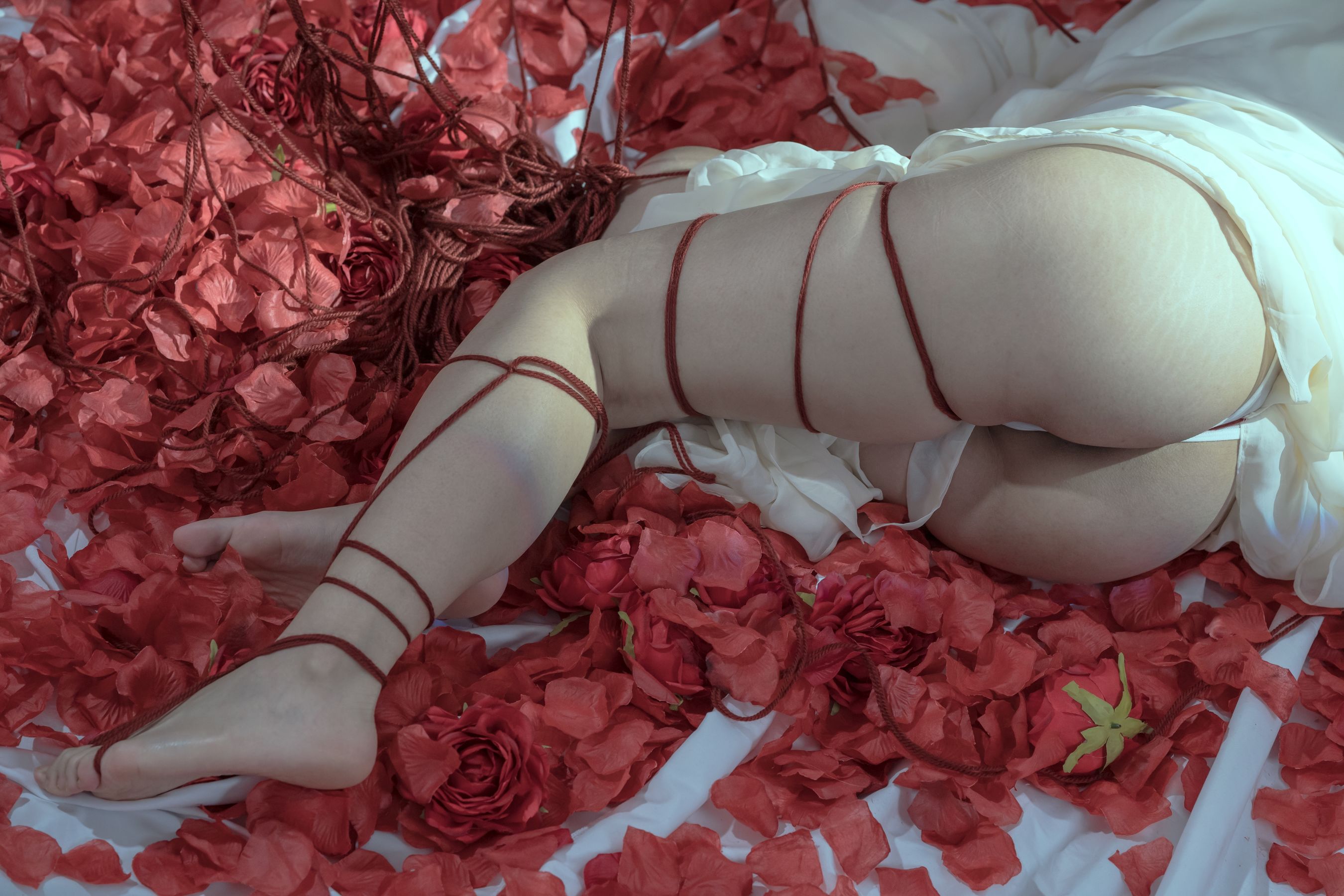 [福利COS] 云溪溪 - 奶桃 囚鸟第18张