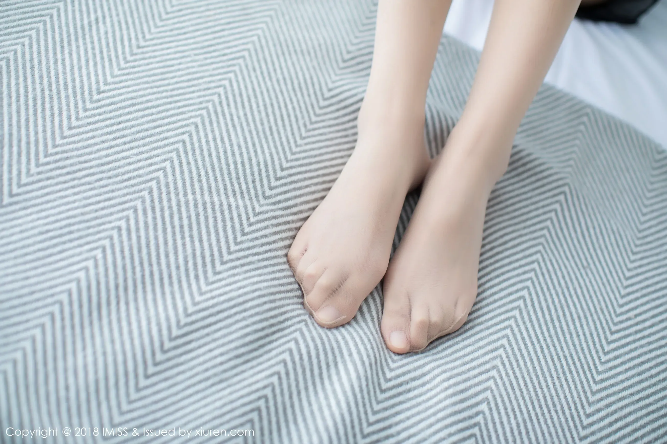  爱蜜社IMiss Vol.286 猫宝第9张