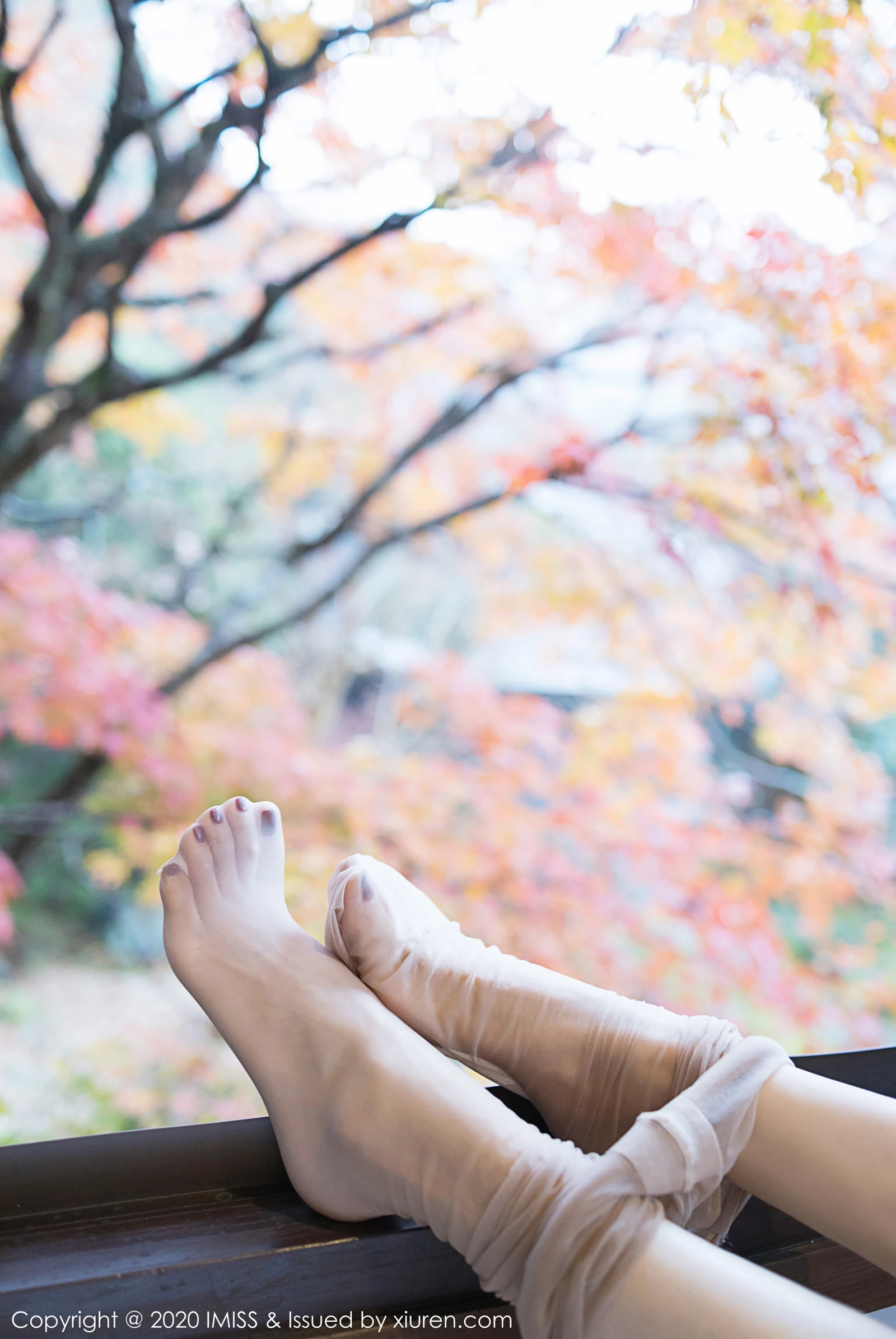 爱蜜社 VOL.447 小狐狸Kathryn第17张