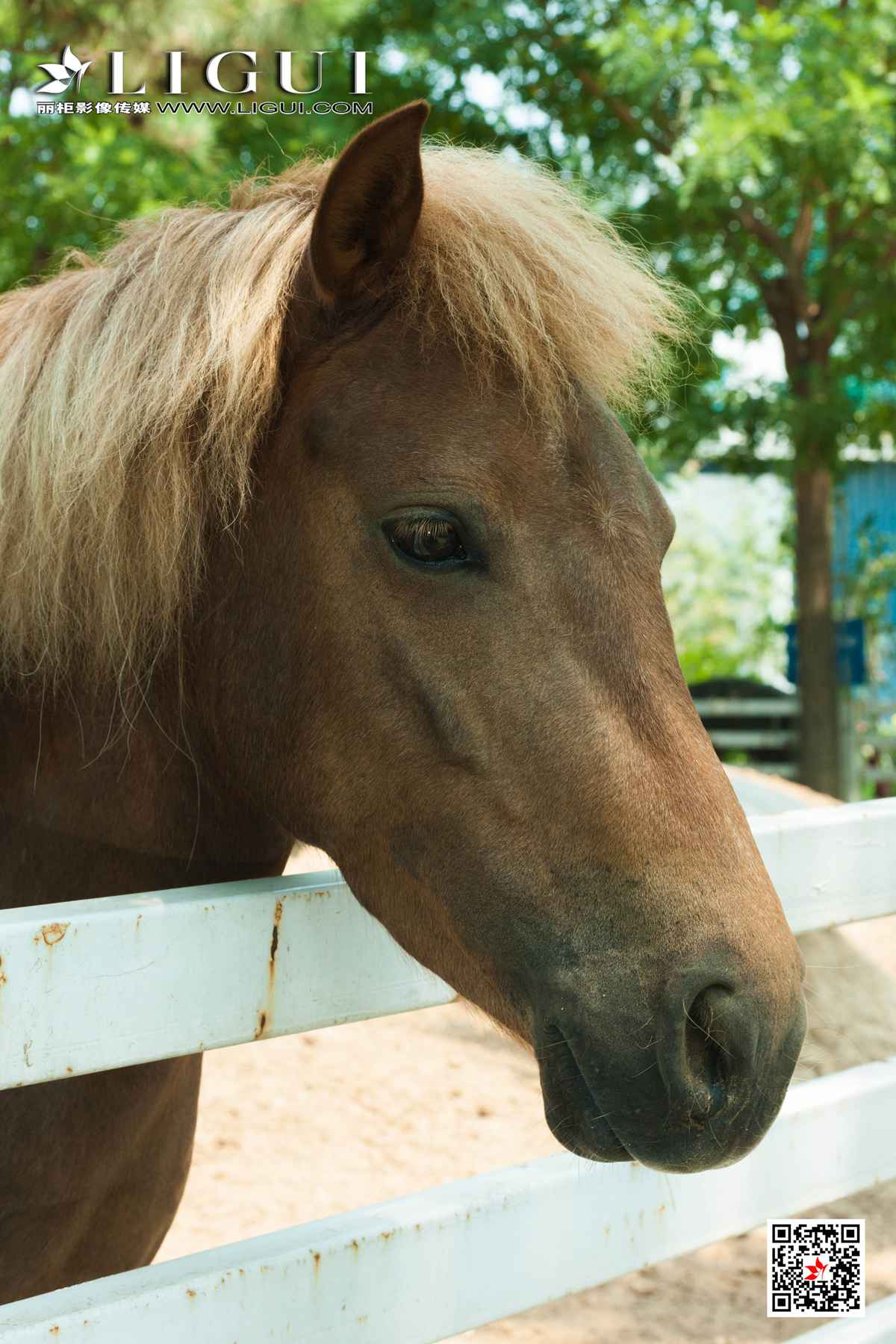 [Ligui丽柜]网络丽人 2020.11.08 Model 甜甜&amp;安娜第8张