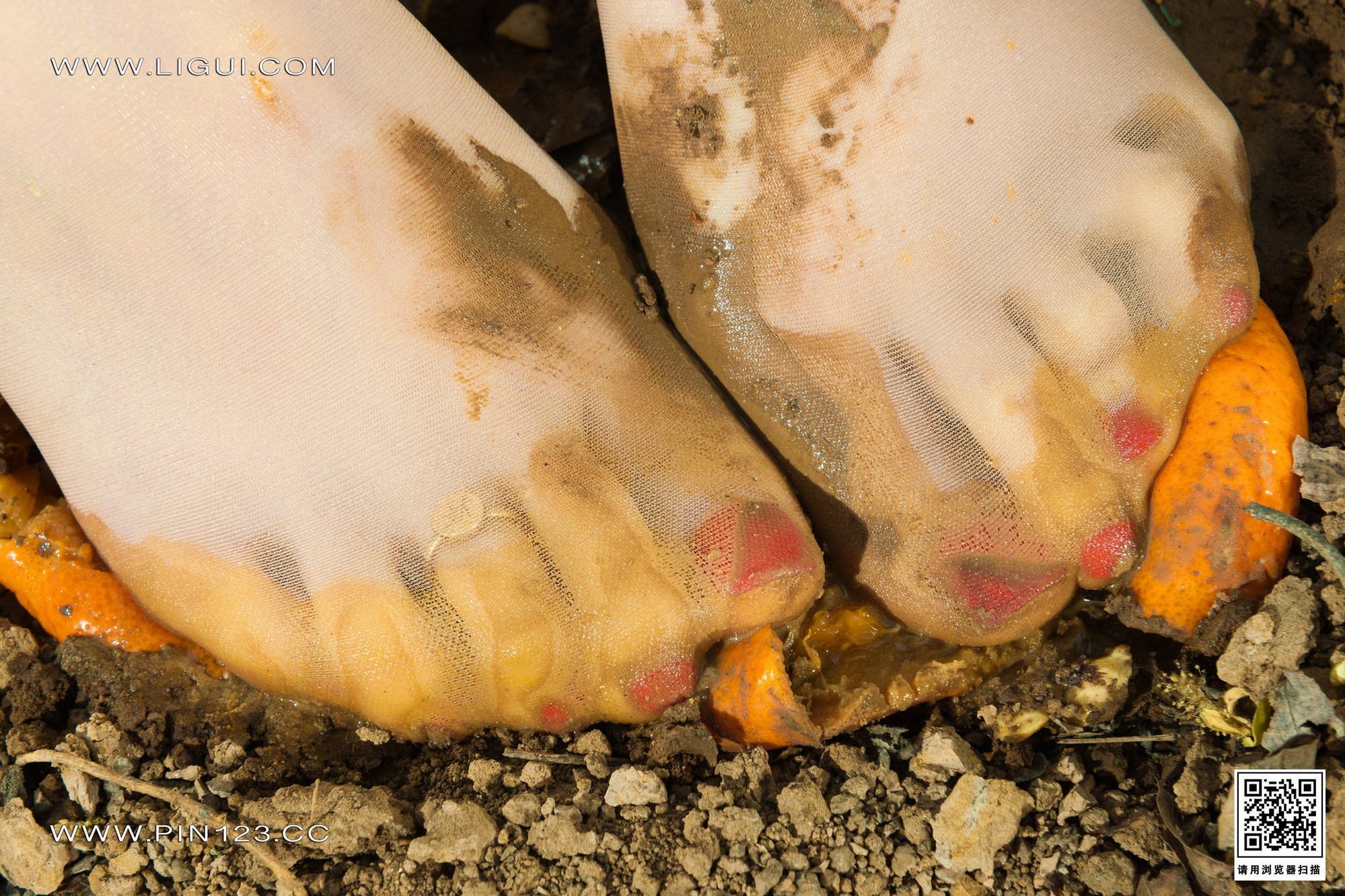 [Ligui丽柜] 2023.04.10《野外柑丝》心心第1张