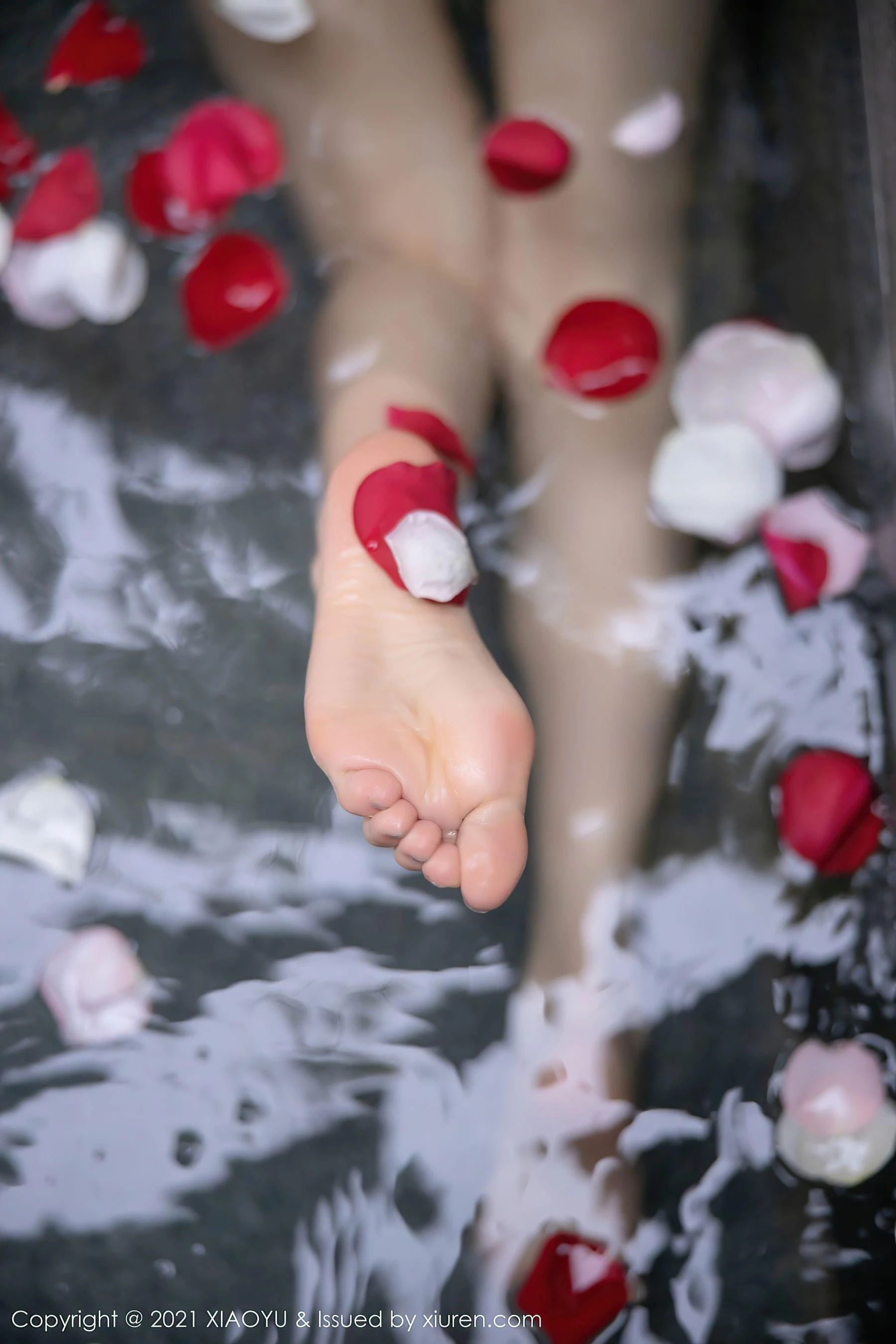 语画界 Vol.528 杨晨晨Yome第14张