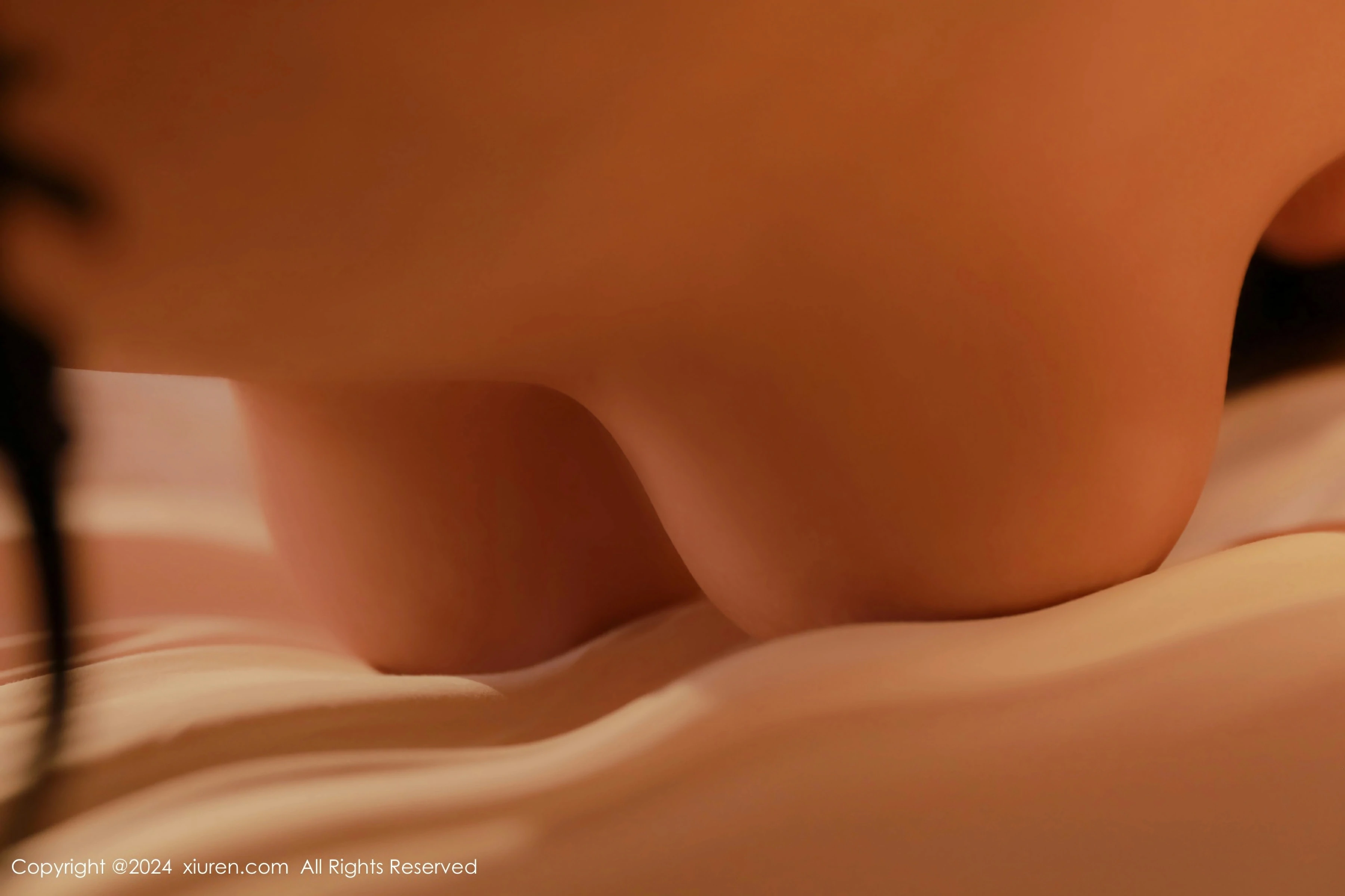  XiuRen 秀人 No.8529 李若汐 [91P]第28张