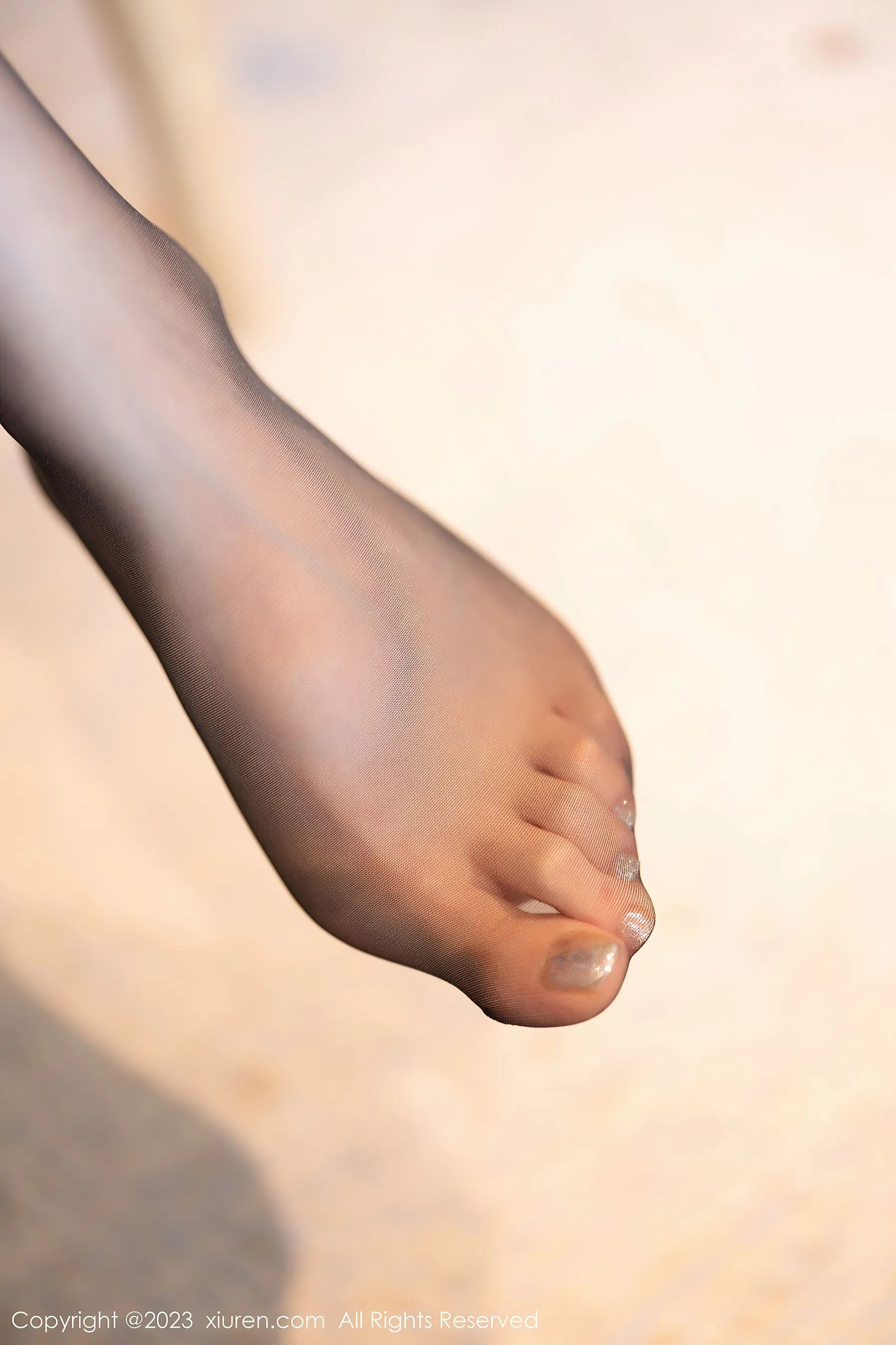  秀人网 No.6203 梦心玥 黑丝美腿第28张