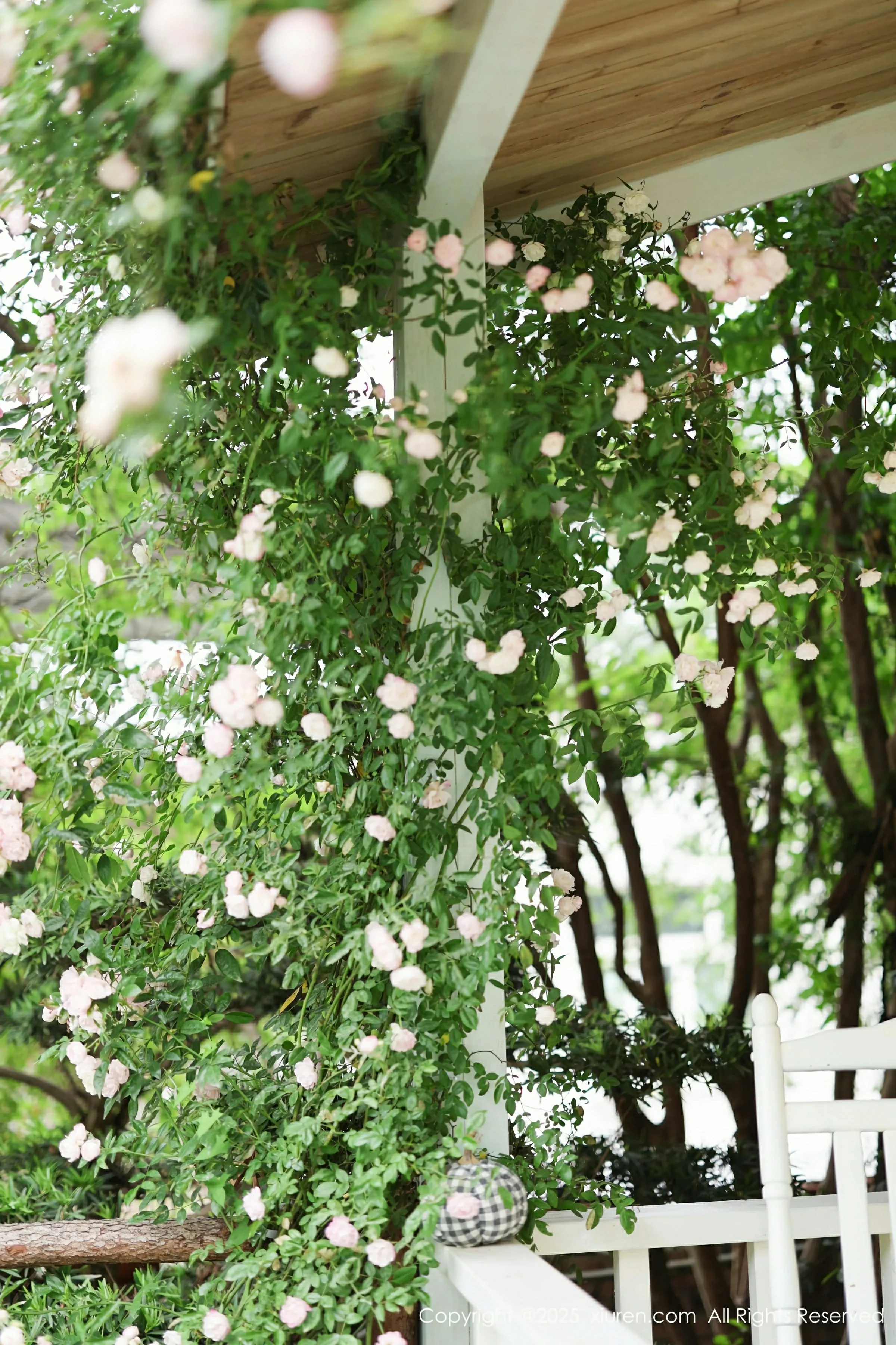  XiuRen 秀人 No.10215 茂木希子 [82P]第12张