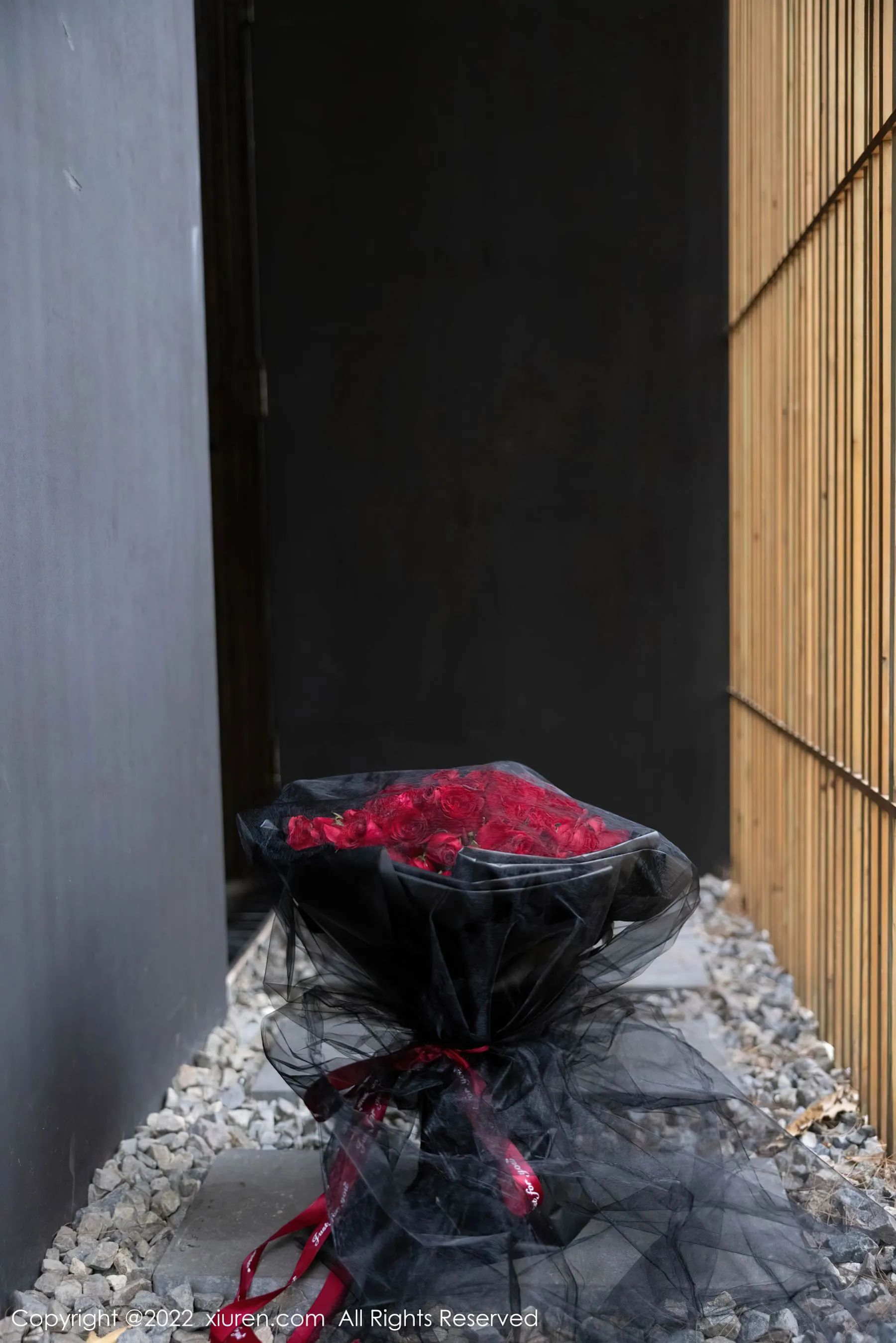  秀人 No.4498 绮里嘉第14张