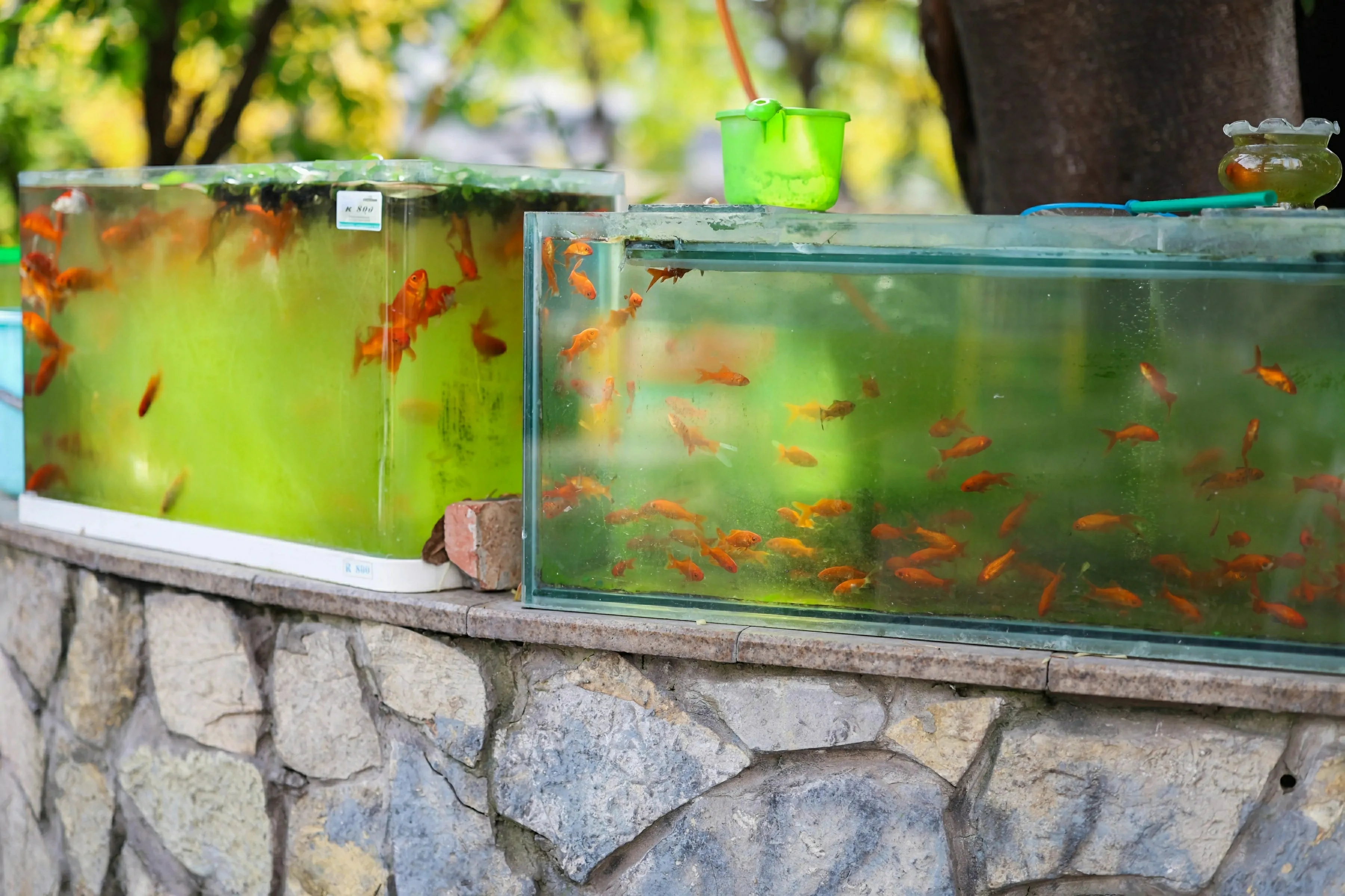  XiuRen 秀人 No.10247 茂木希子 [80P]第1张