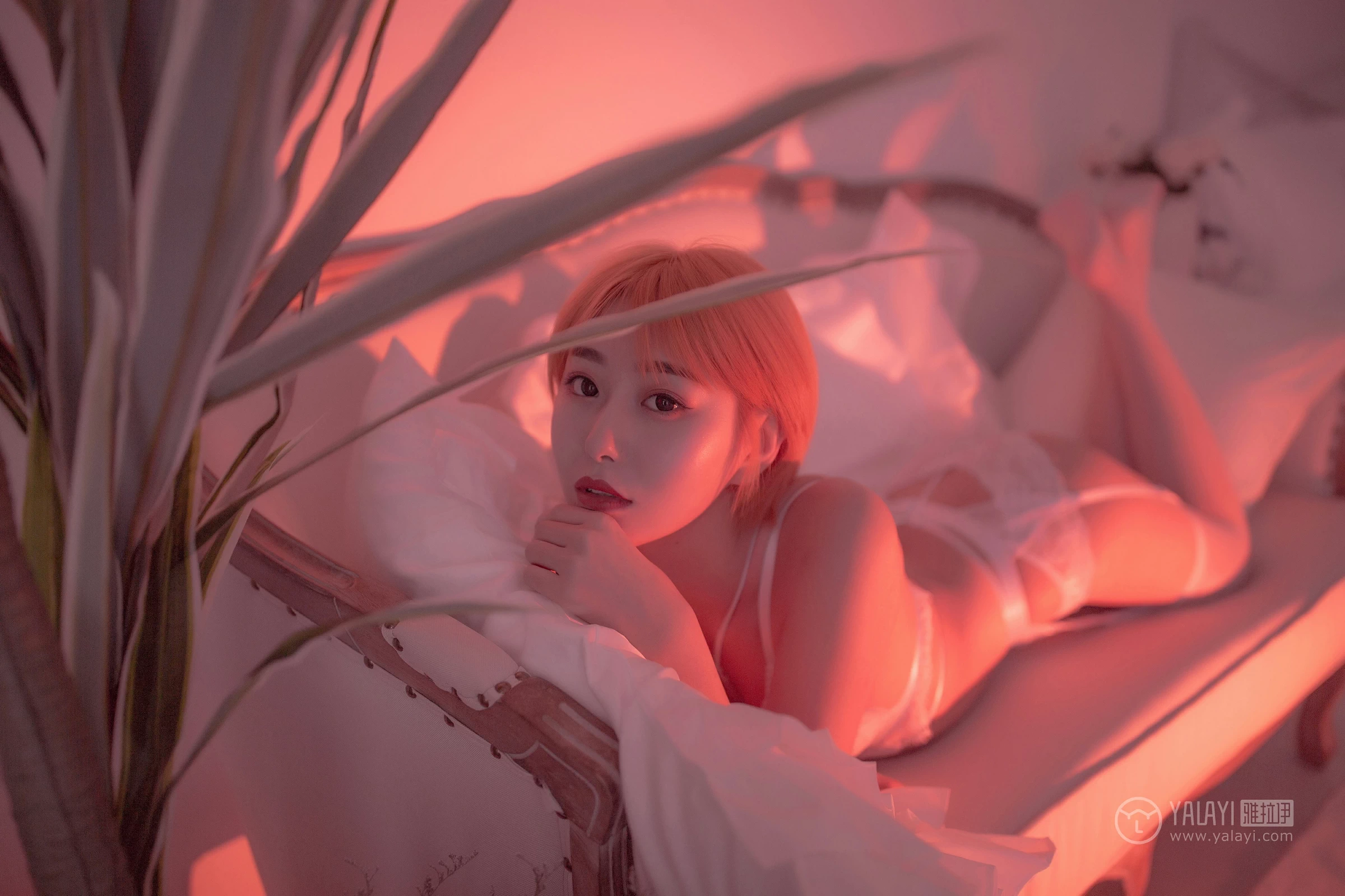 [YALAYI雅拉伊]NO.162 轻奢主义 静静 白色蕾丝情趣内衣加白色丝袜美腿性感私房写真集第5张