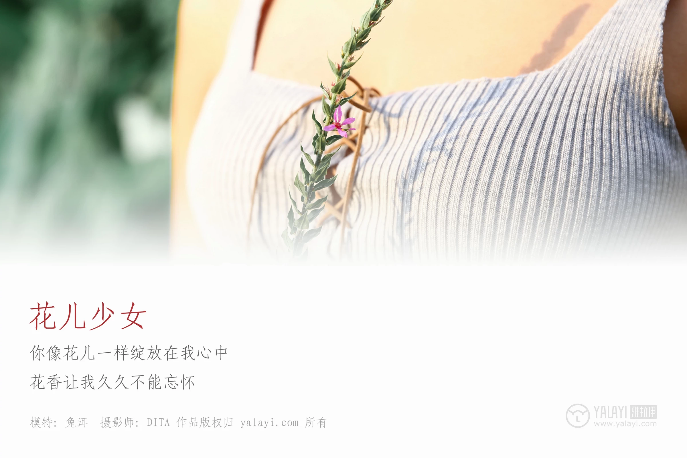 [YALAYI雅拉伊]NO.026 花儿少女 兔洱 白色背心加牛仔热裤性感私房写真集第1张