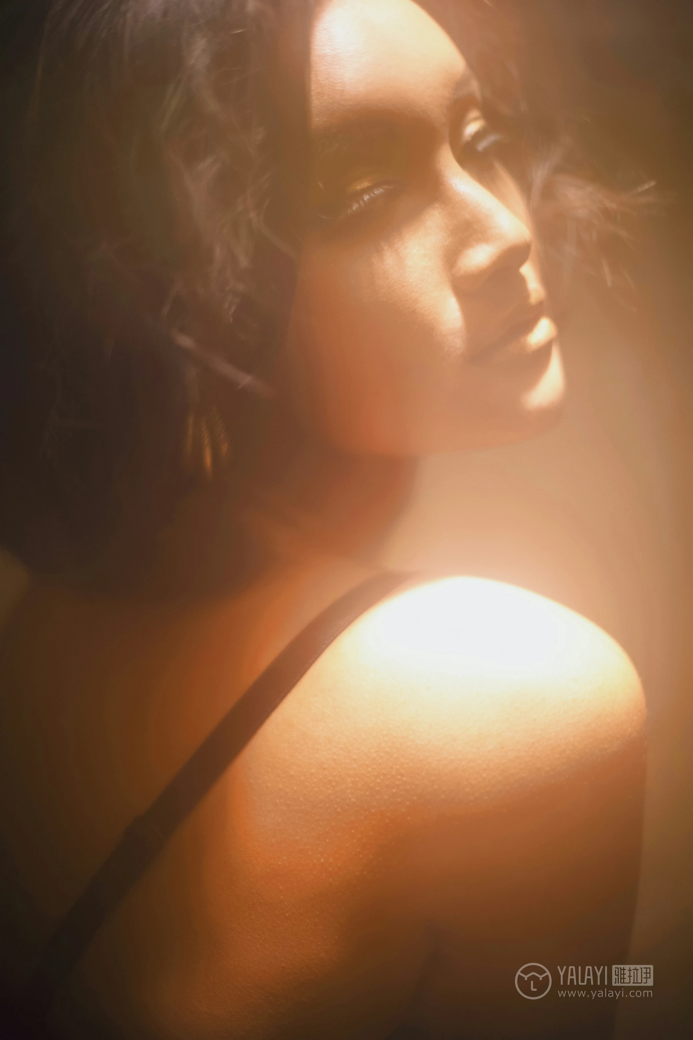 [YALAYI雅拉伊]No.242 一往情深 王艺颖 黑色透视情趣内衣性感私房写真集第14张