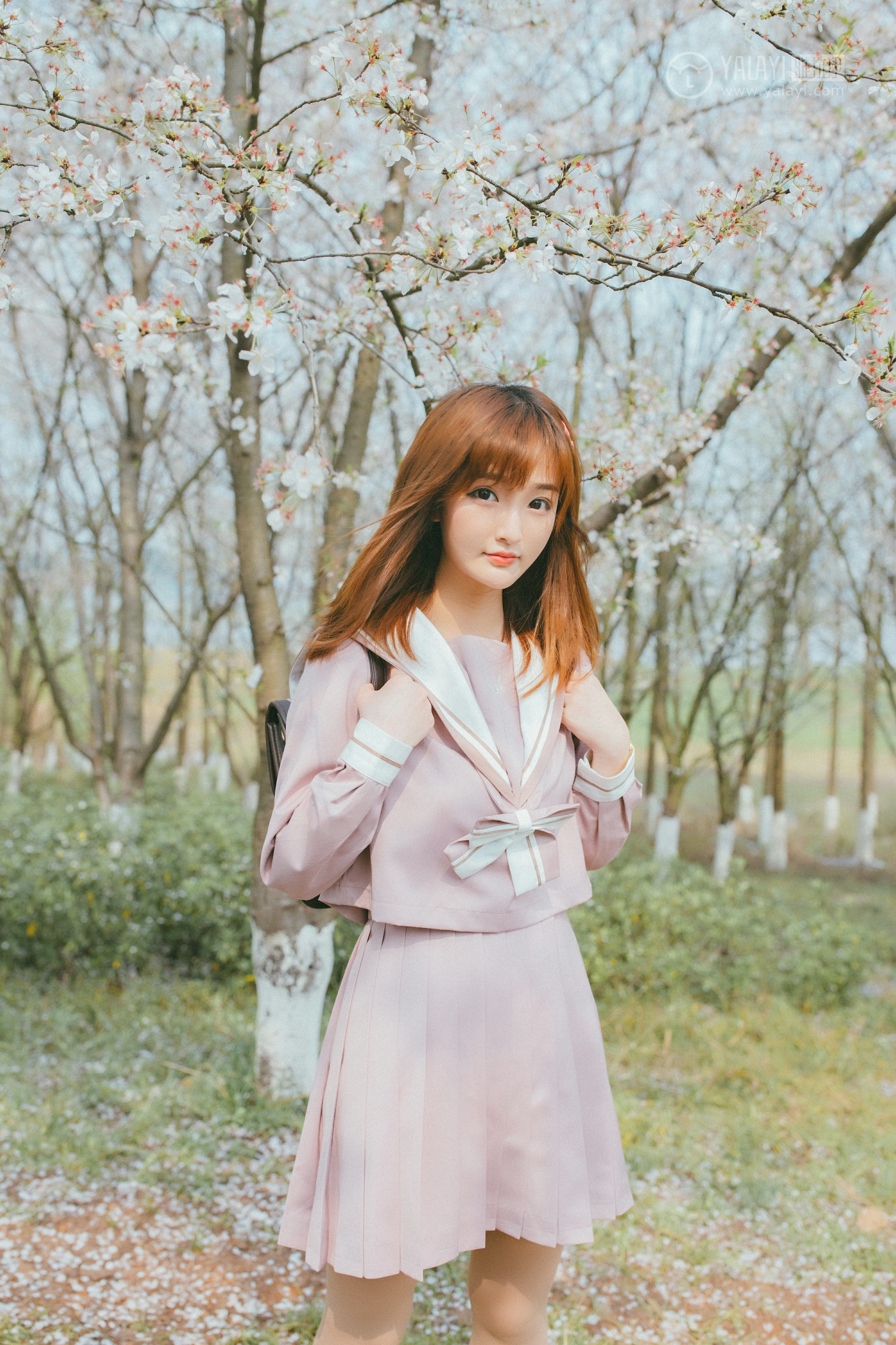 [YALAYI雅拉伊]No.246 樱花樱花想见你 团团 日本高中女生制服加肉色丝袜美腿性感私房写真集第2张