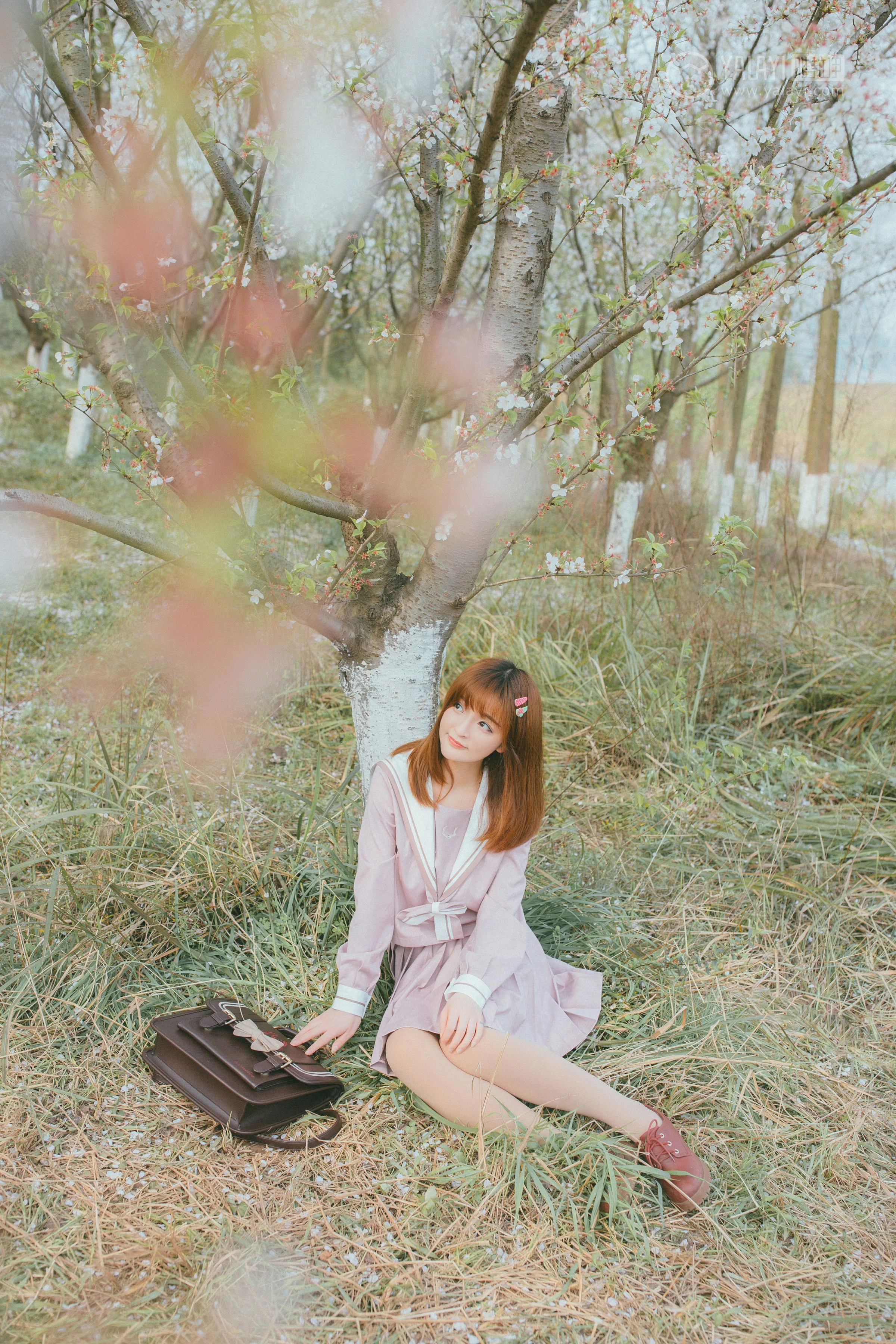 [YALAYI雅拉伊]No.246 樱花樱花想见你 团团 日本高中女生制服加肉色丝袜美腿性感私房写真集第3张