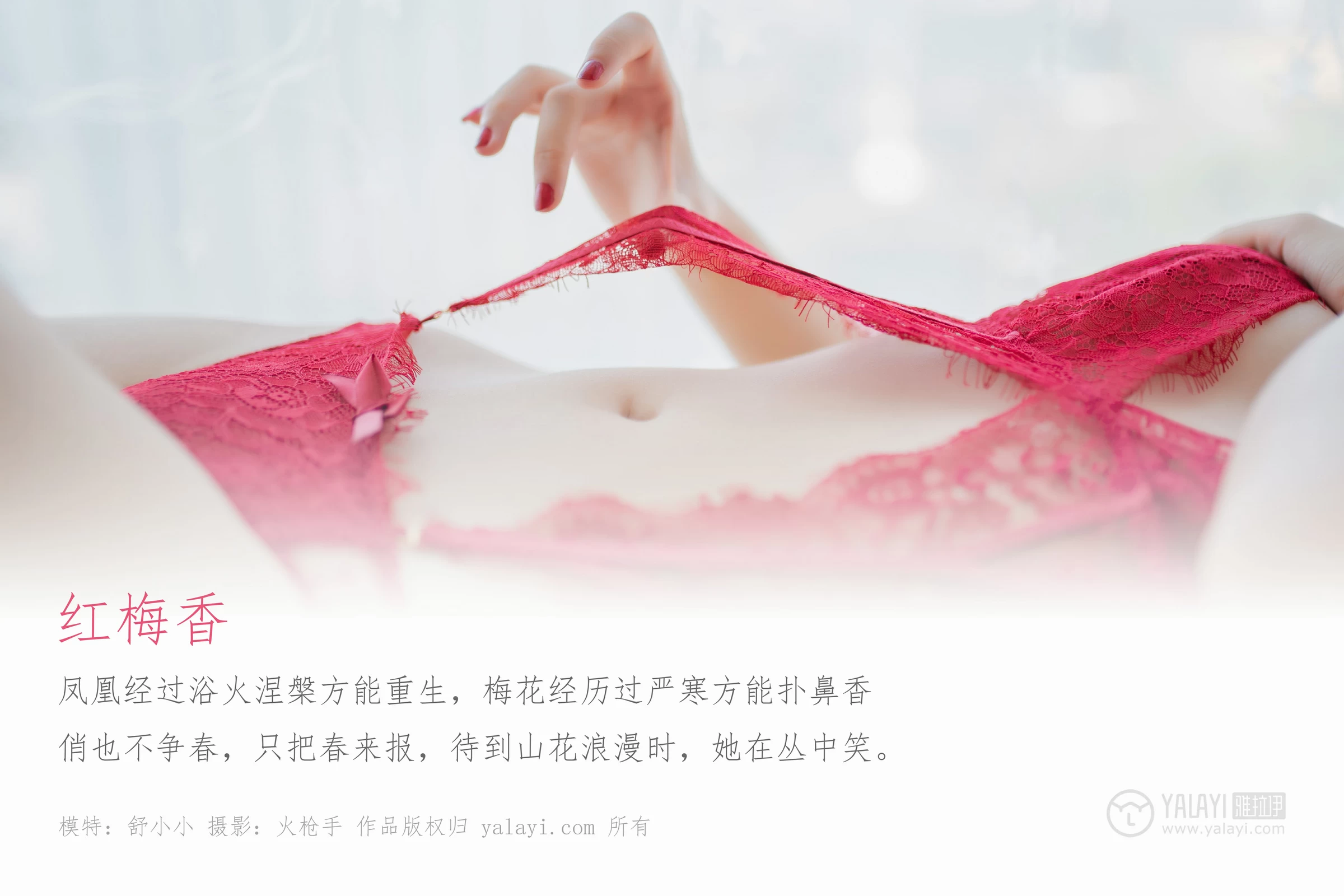 [YALAYI雅拉伊]No.319 红梅香 舒小小 红色透视蕾丝情趣内衣性感私房写真集第1张