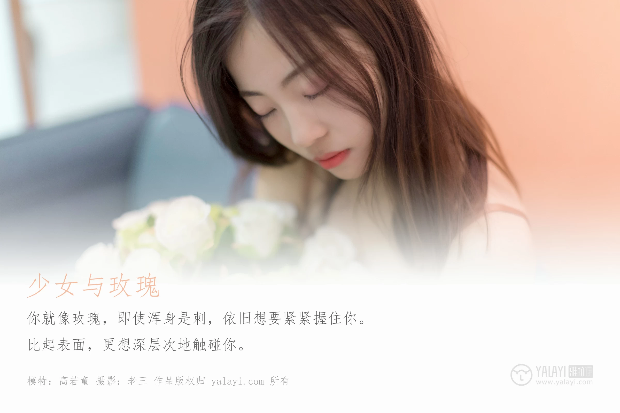 [YALAYI雅拉伊]No.320 少女与玫瑰 高若童 粉色内衣加白色蕾丝内裤性感私房写真集第1张
