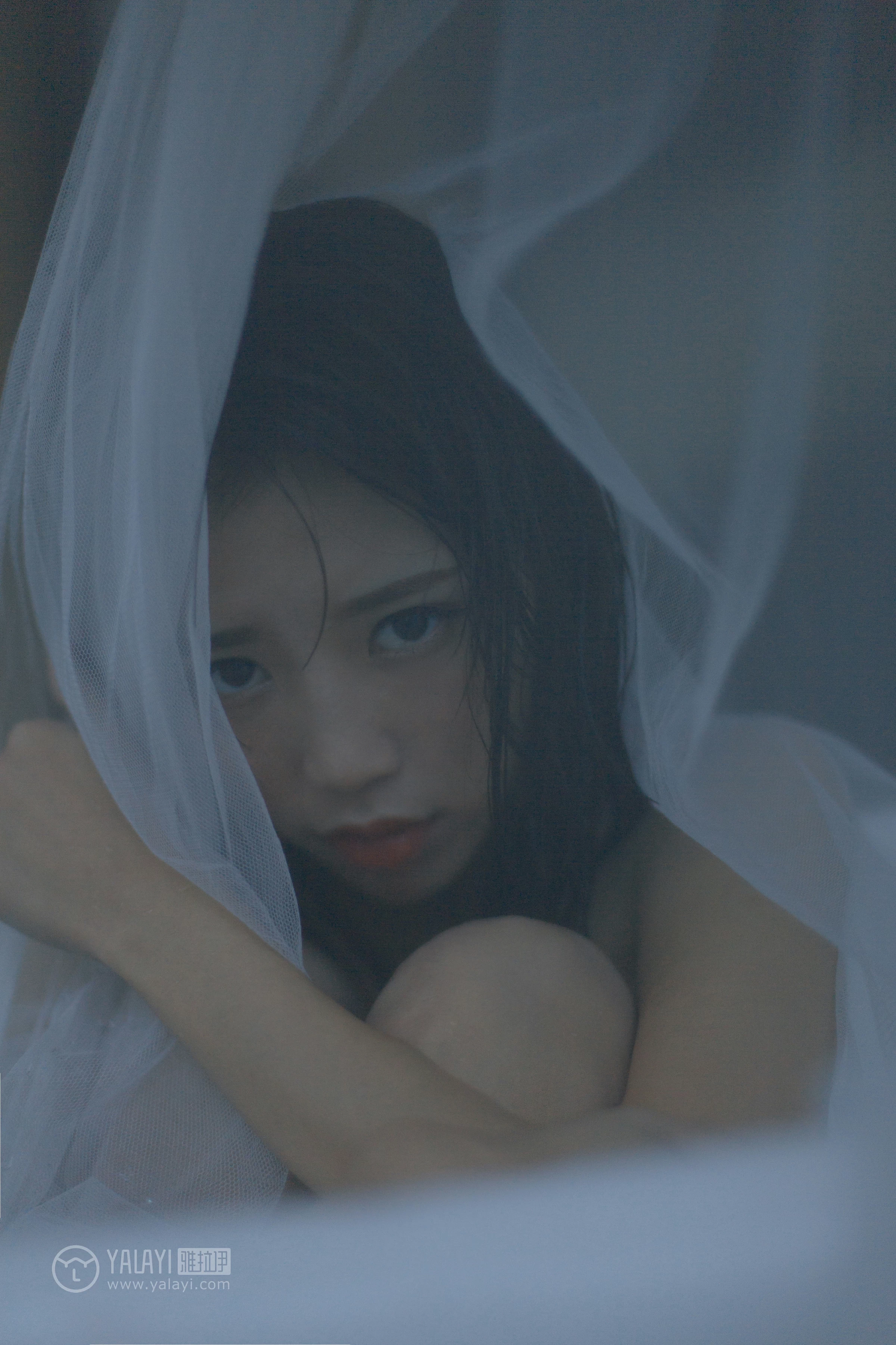 [YALAYI雅拉伊]No.360 出水芙蓉 丽雅 透视情趣内衣性感私房写真集第15张