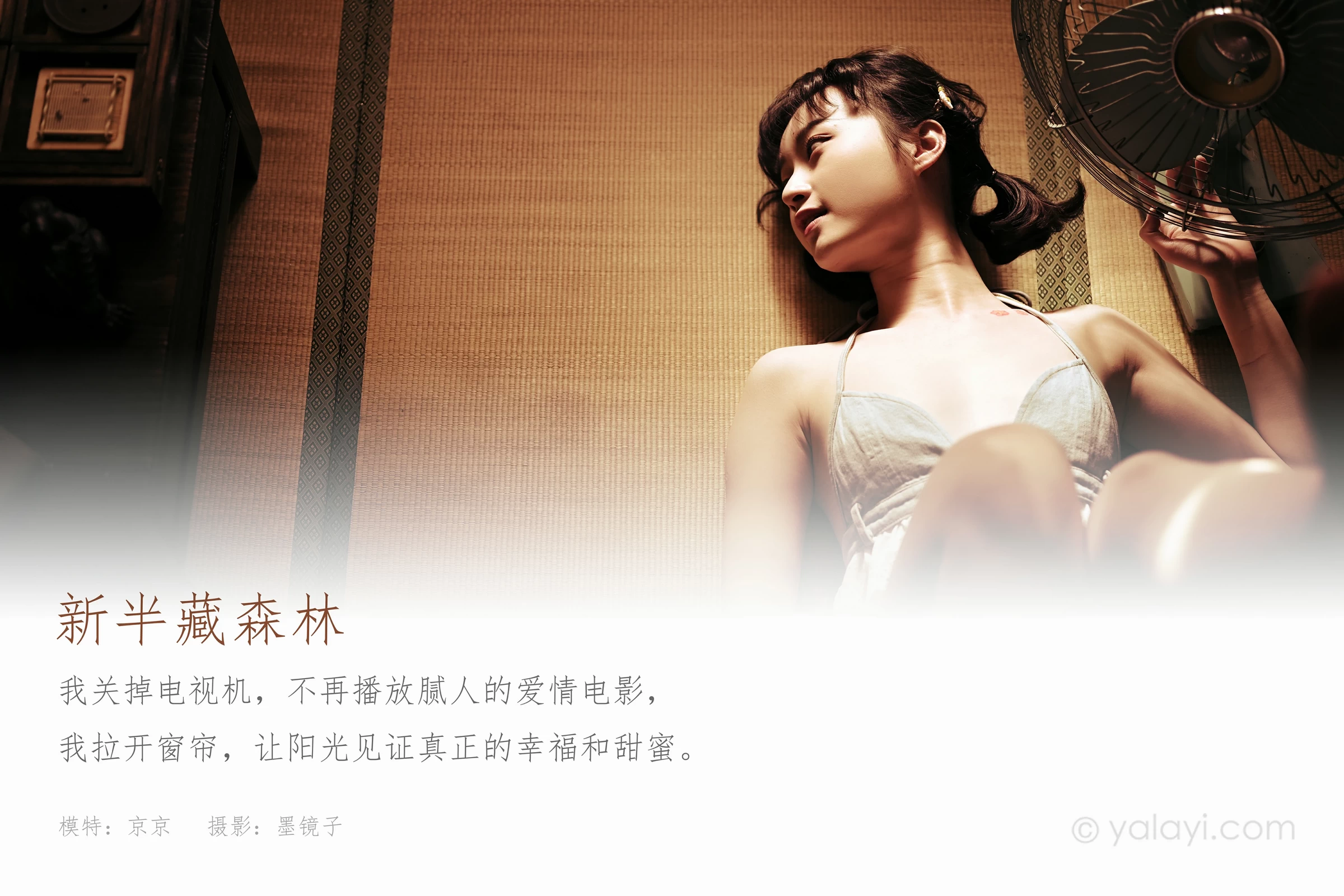[YALAYI雅拉伊]NO.752 《新半藏深林》 京京 灰色情趣内衣加短裤性感写真集第1张